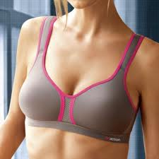 imgres-10 Triumph Triaction Hybrid Star sports bra