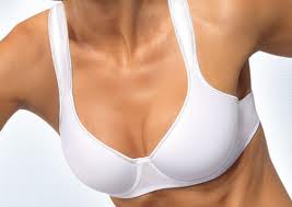 imgres-11 Triumph Tri-action Powermove Sports bra
