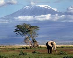 Kilimanjaro is the highest peak in Africa